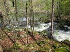 IMG 4613